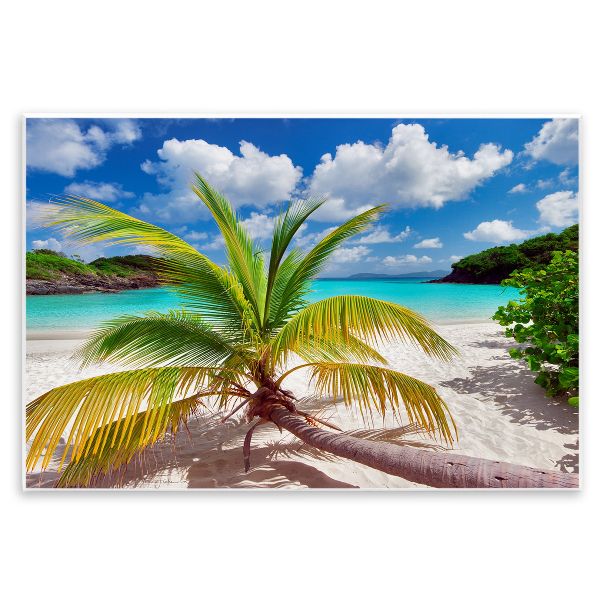 Stupell Industries Palm Tree Across Beach Coastal Photography Unframed Art Print Wall Art, 19 x 13