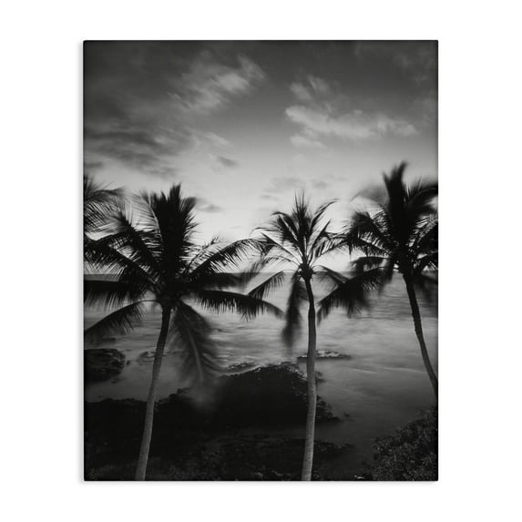 Stupell Industries Palm Tree Coast Photograph Canvas Wall Art design by Carol Robinson, 20 x 16