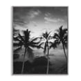 thumbnail image 1 of Stupell Industries Palm Tree Coast Photograph Gray Framed Giclee Art design by Carol Robinson, 14 x 11, 1 of 8