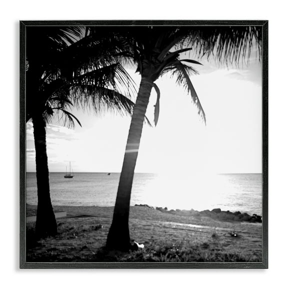 Stupell Industries Palm Tree Silhouettes Coastal Photography Black Framed Art Print Wall Art, 12 x 12