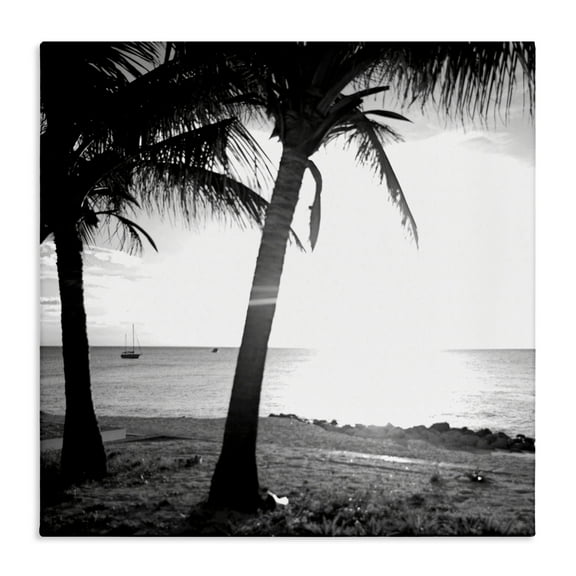 Stupell Industries Palm Tree Silhouettes Coastal Photography Gallery Wrapped Canvas Art Print Wall Art, 17 x 17