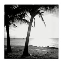 Stupell Industries Palm Tree Silhouettes Coastal Photography Gallery Wrapped Canvas Art Print Wall Art, 17 x 17