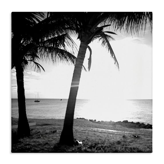 Stupell Industries Palm Tree Silhouettes Coastal Photography Gallery Wrapped Canvas Art Print Wall Art, 36 x 36