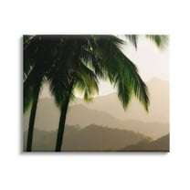 Stupell Industries Palm Trees At Sunrise Mountain Range Photograph Gallery Wrapped Canvas Print Wall Art, Design by Dennis Frates