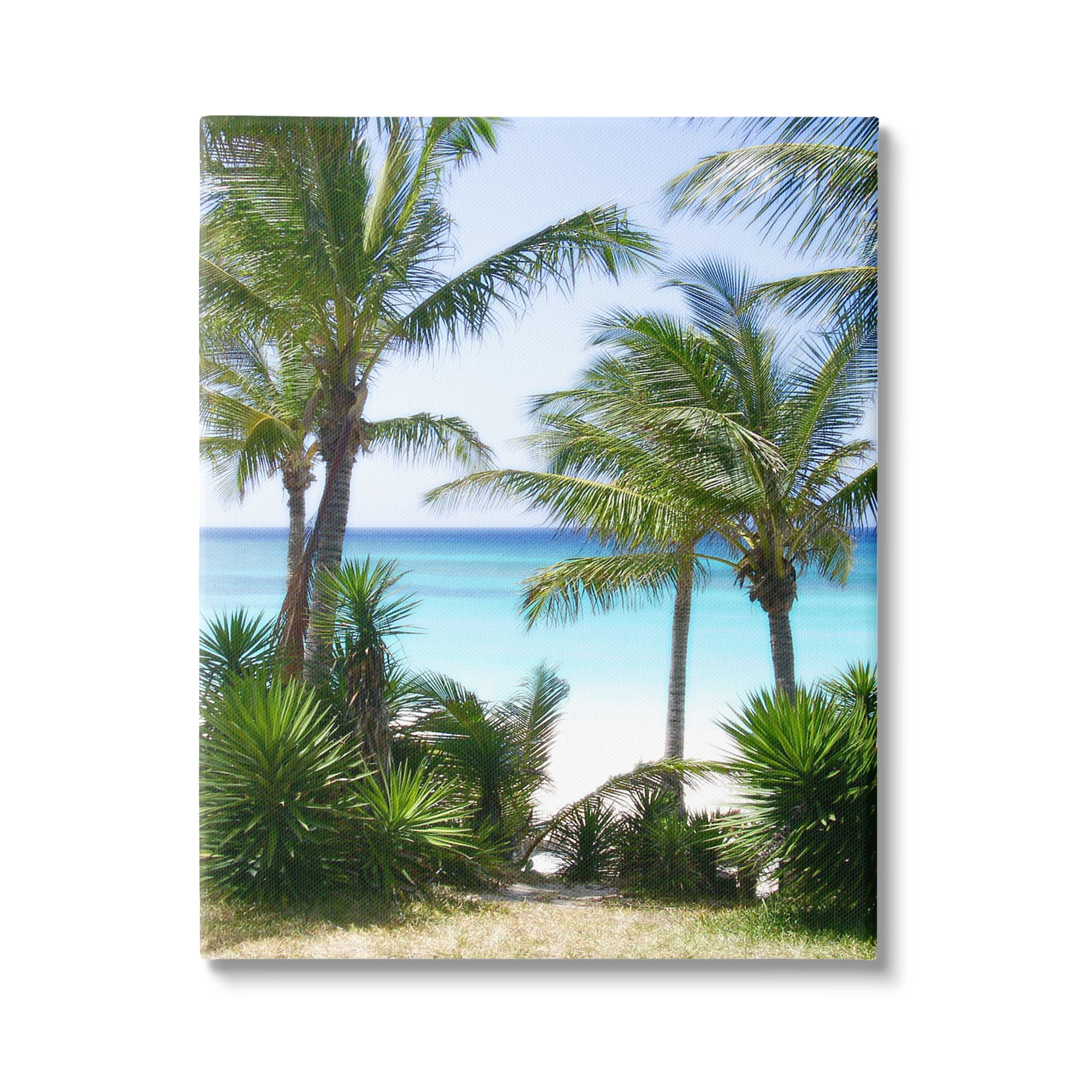 Stupell Industries Palm Trees Near Beach Nature Photography Gallery Wrapped Canvas Print Wall Art, 30 x 40
