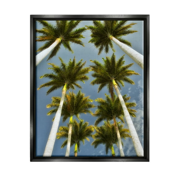 Stupell Industries Palm Trees Overhead Nature Photography Black Floater Framed Art Print Wall Art, 17 x 21