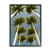 Stupell Industries Palm Trees Overhead Nature Photography Black Framed Art Print Wall Art, 11 x 14