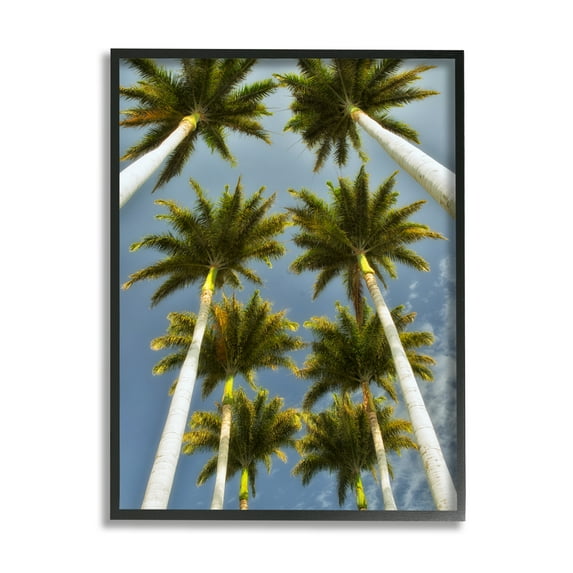 Stupell Industries Palm Trees Overhead Nature Photography Black Framed Art Print Wall Art, 11 x 14