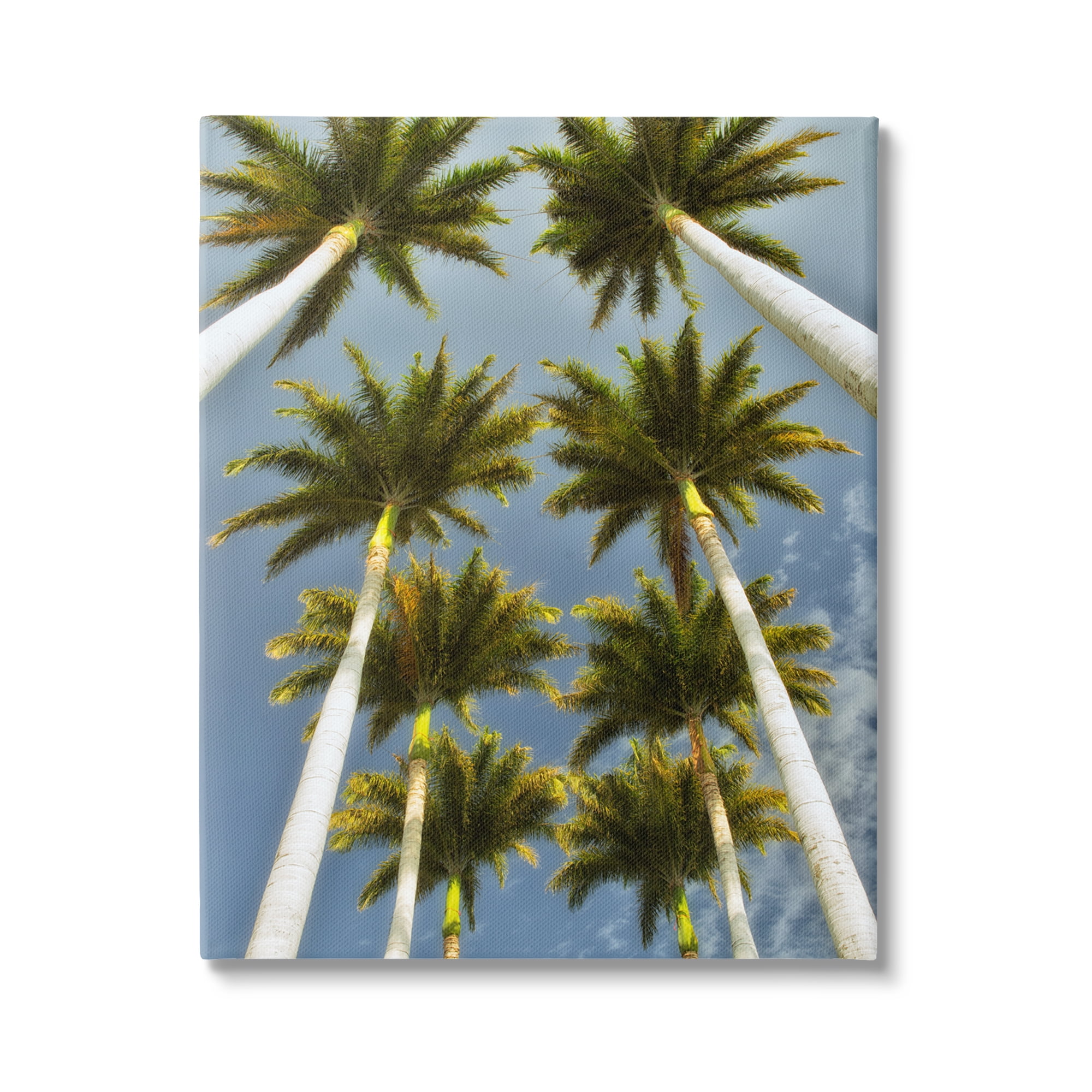 Stupell Industries Palm Trees Overhead Nature Photography Gallery Wrapped Canvas Print Wall Art, 30 x 40