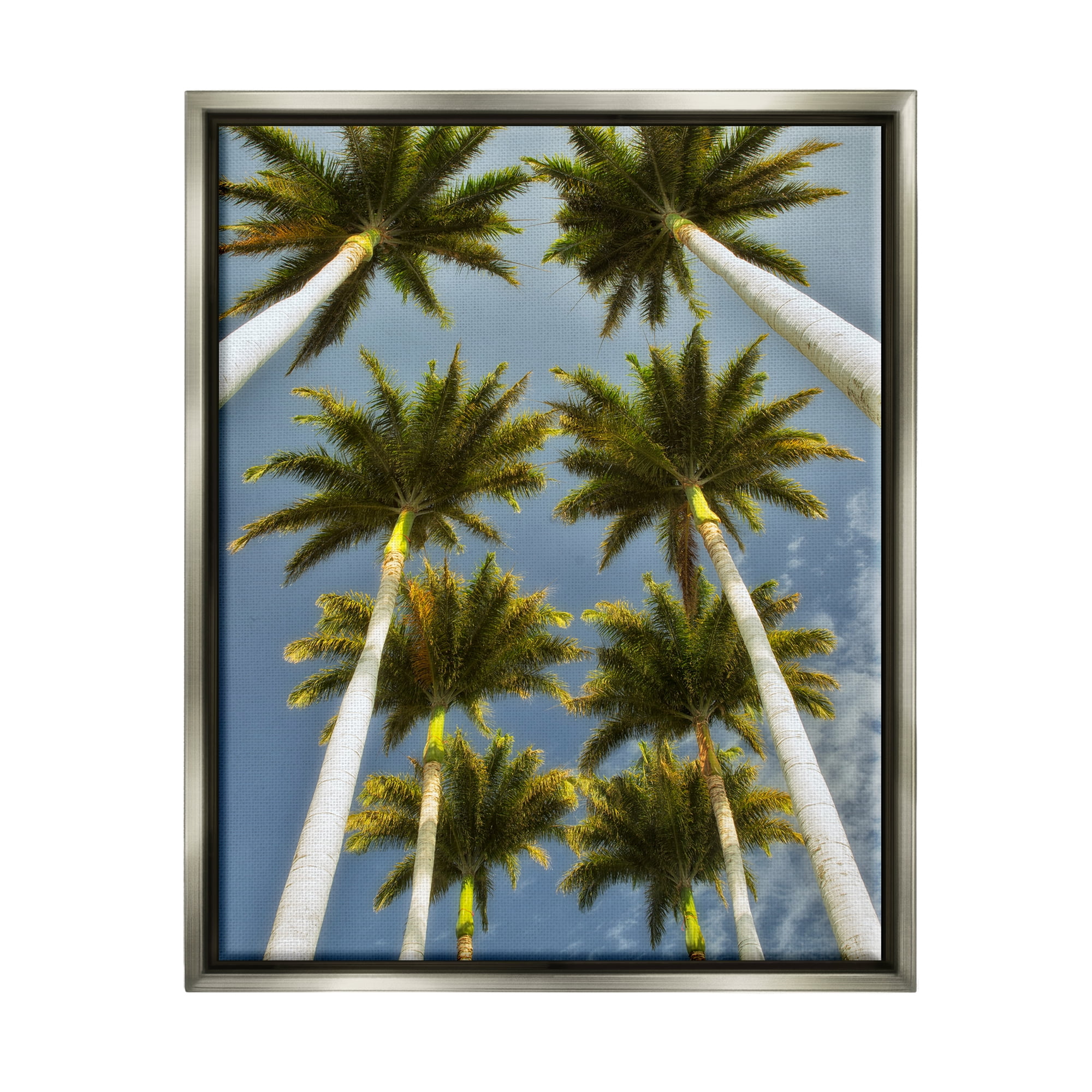 Stupell Industries Palm Trees Overhead Nature Photography Gray Floater Framed Art Print Wall Art, 17 x 21