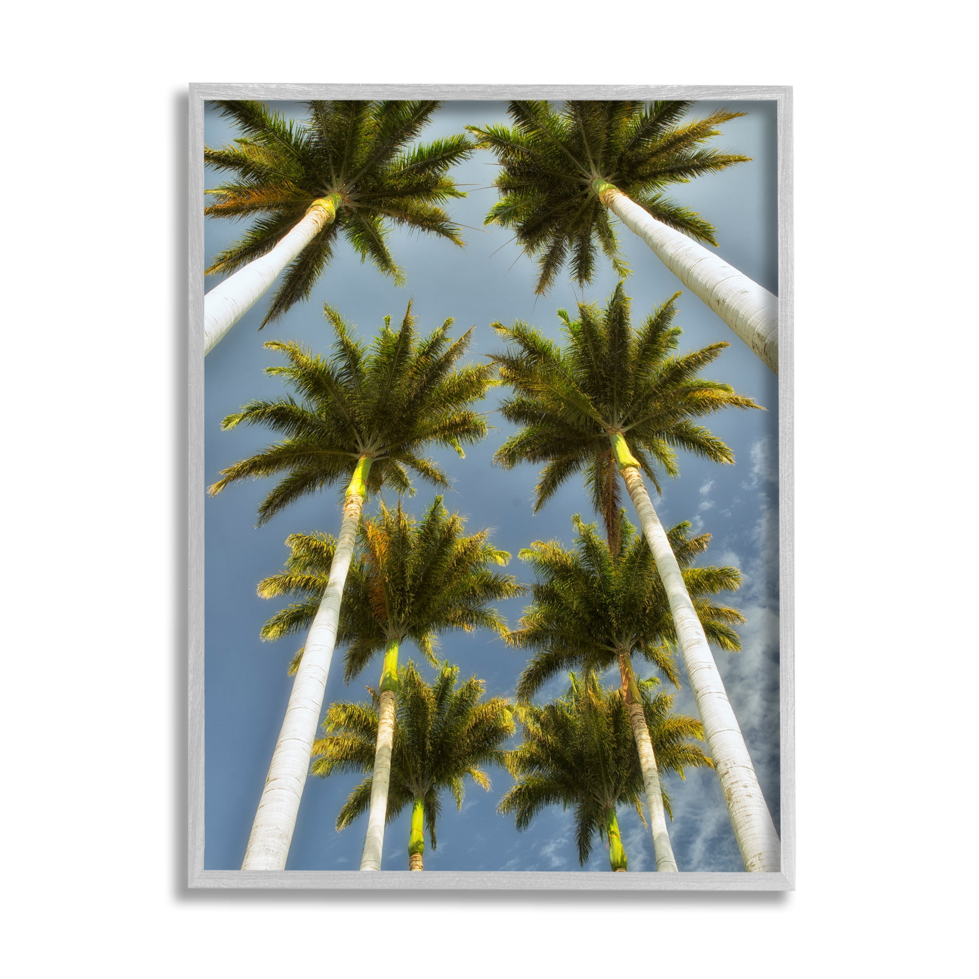 Gray Framed Palm Trees Overhead Nature Photography Print, 24 x 30