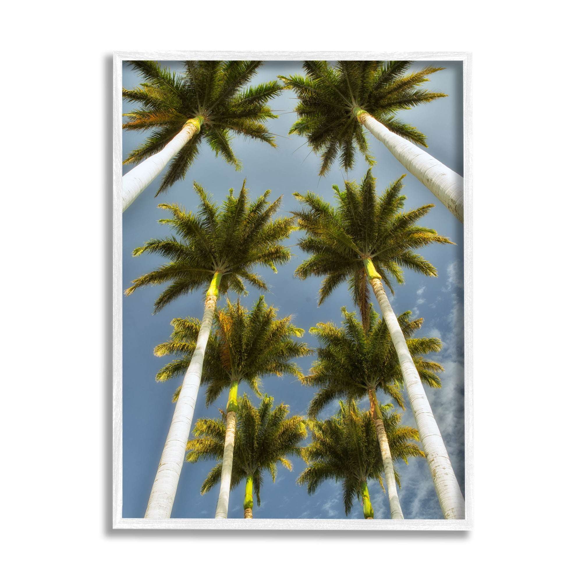 Stupell Industries Palm Trees Overhead Nature Photography White Framed Art Print Wall Art, 16 x 20