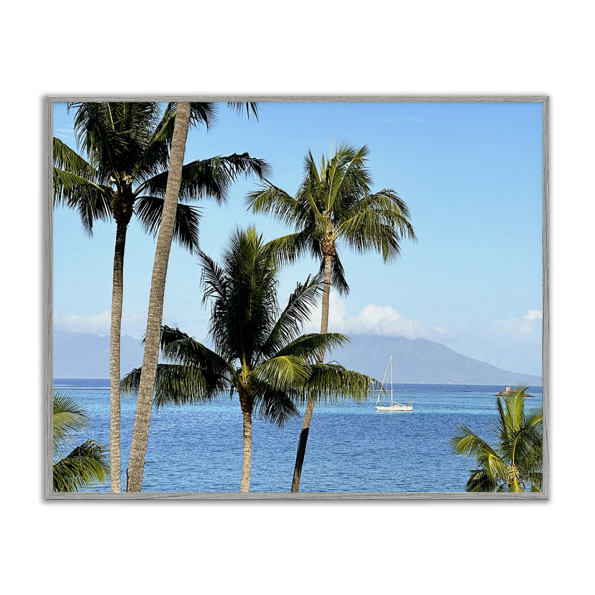 Stupell Industries Palm Trees & Sailboat Landscape Photography Gray Framed Art Print Wall Art, 20 x 16