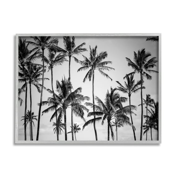 Stupell Industries Palm Trees Skyline Black and White Photography Framed Art Print Wall Art, 14x11, By Design Fabrikken