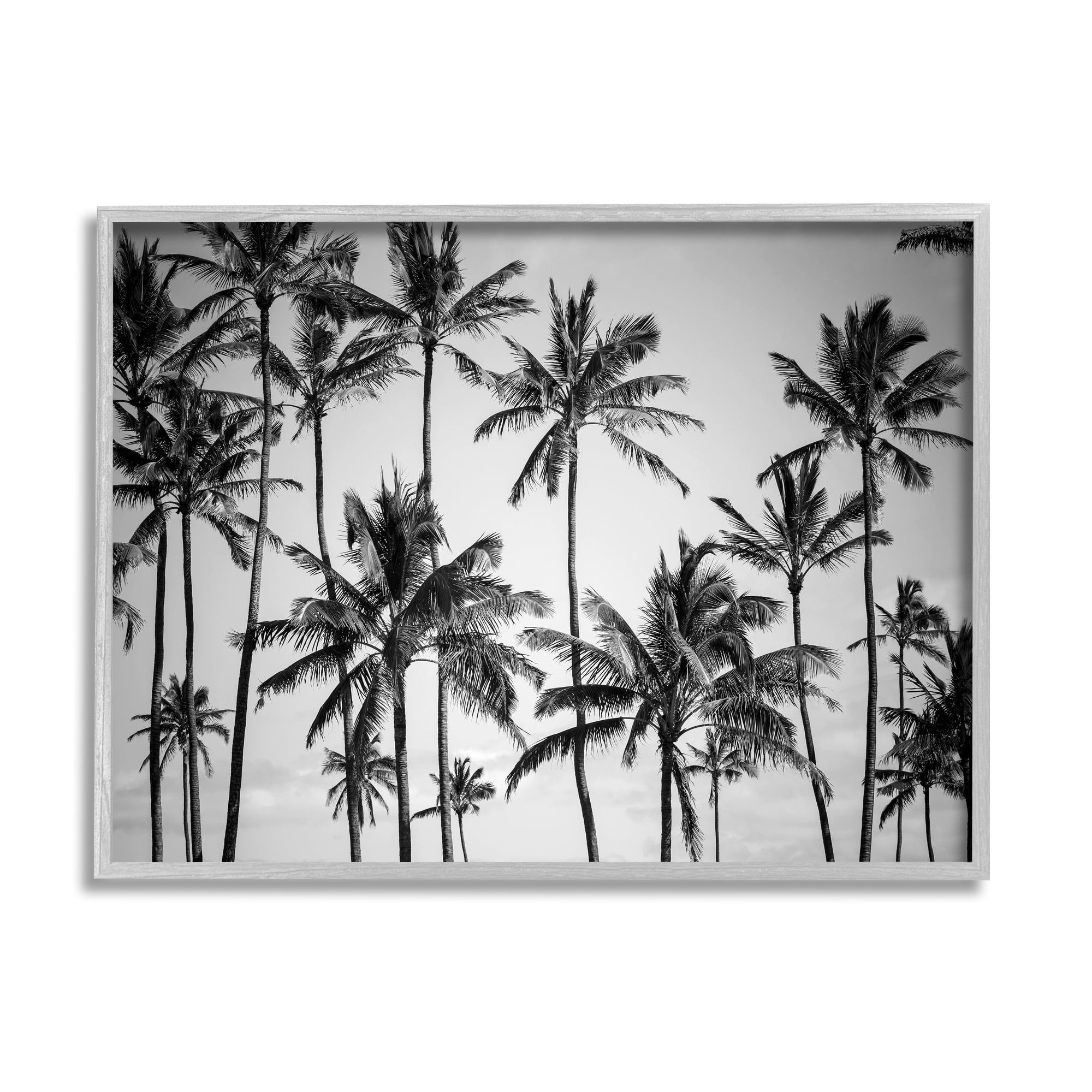 Stupell Industries Palm Trees Skyline Black and White Photography Framed Art Print Wall Art, 30x24, By Design Fabrikken