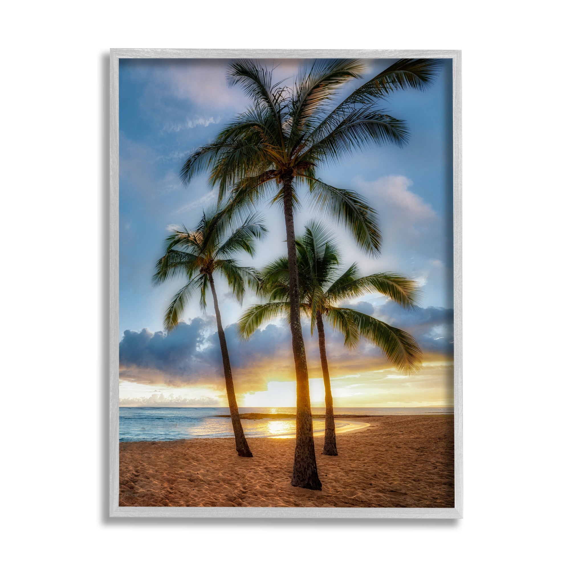 Stupell Industries Palm Trees Tropical Beach Cove Coastal Photography Gray Framed Art Print Wall Art