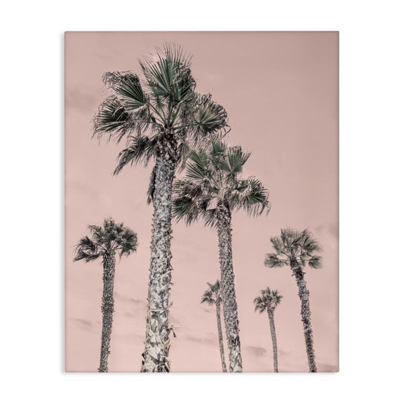Stupell Industries Palm Up Pink Sky Canvas Wall Art design by Natalie Carpentieri, 20 x 16