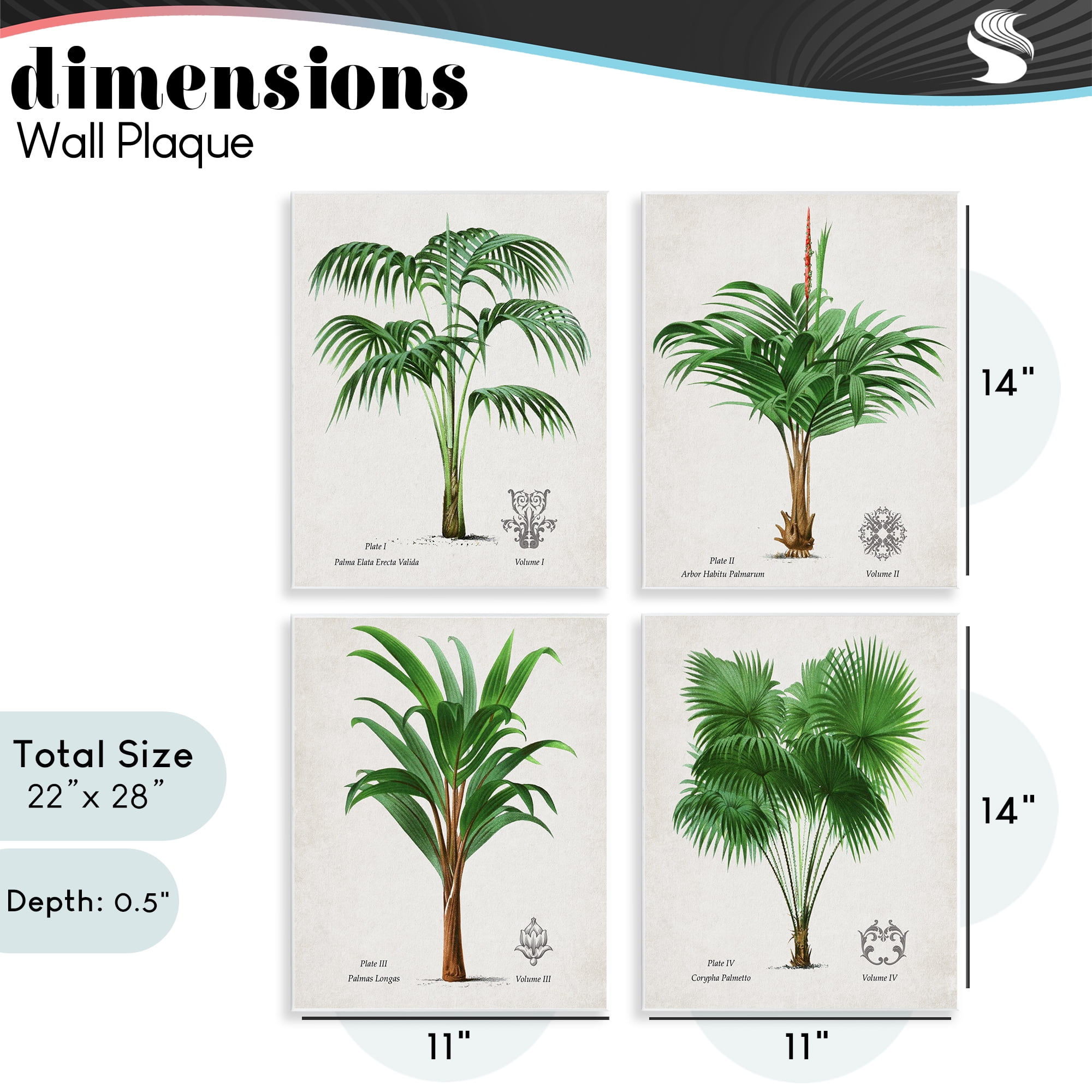 Stupell Industries Palm Varieties Studies 4 Piece Wall Plaque Art Set, design by Natalie Carpentieri