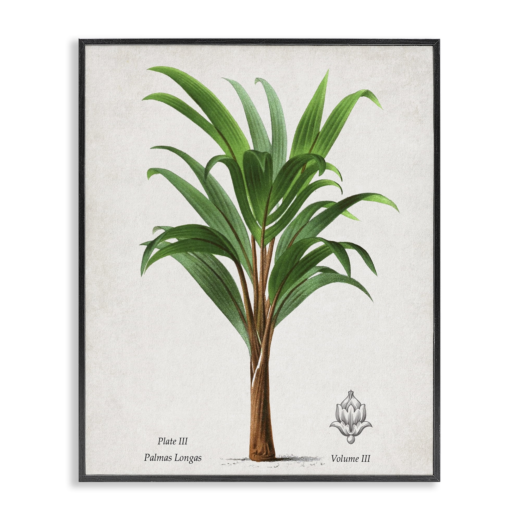 Stupell Industries Palmas Longas Palm Tree Black Framed Giclee Art, design by Val Rhodes