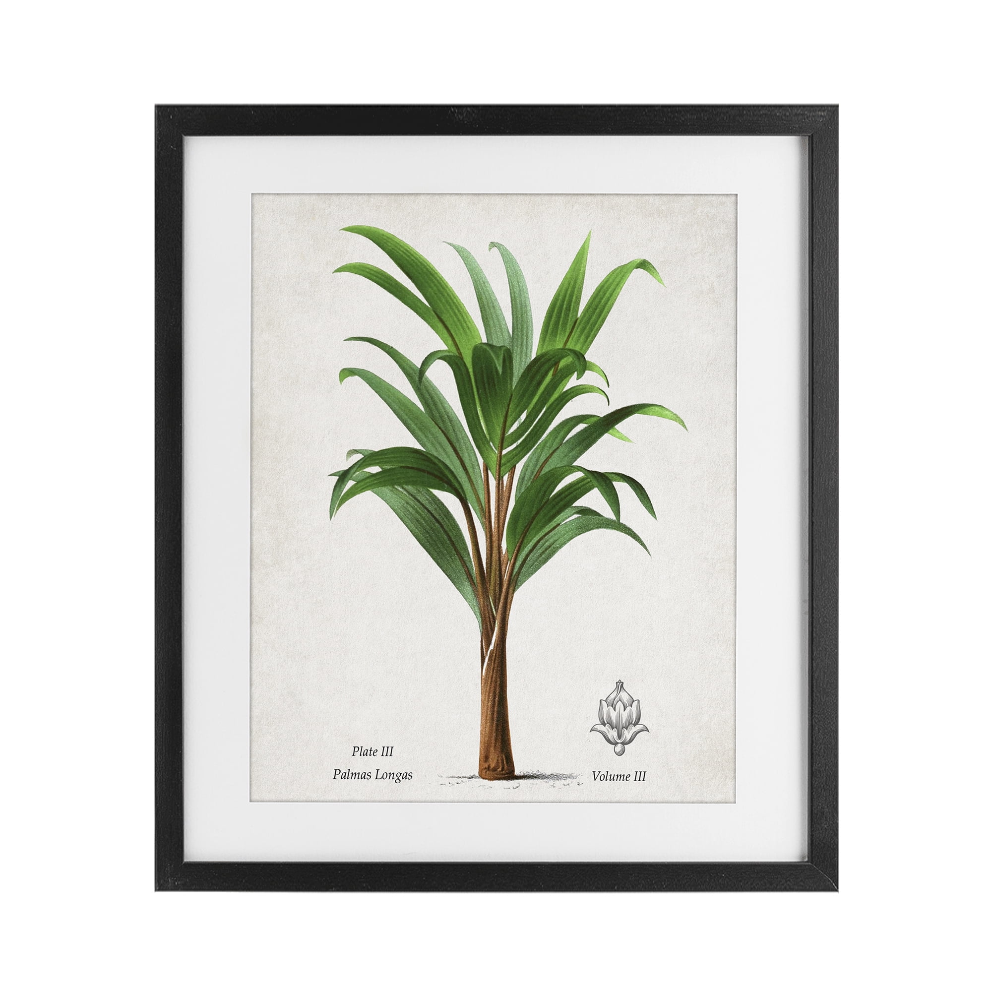 Stupell Industries Palmas Longas Palm Tree Black Framed Print Under Glass, design by Val Rhodes