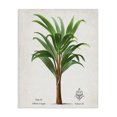 thumbnail image 1 of Stupell Industries Shabby Chic Palmas Longas Palm Tree Canvas Art, 16 x 20, by Val Rhodes, 1 of 8