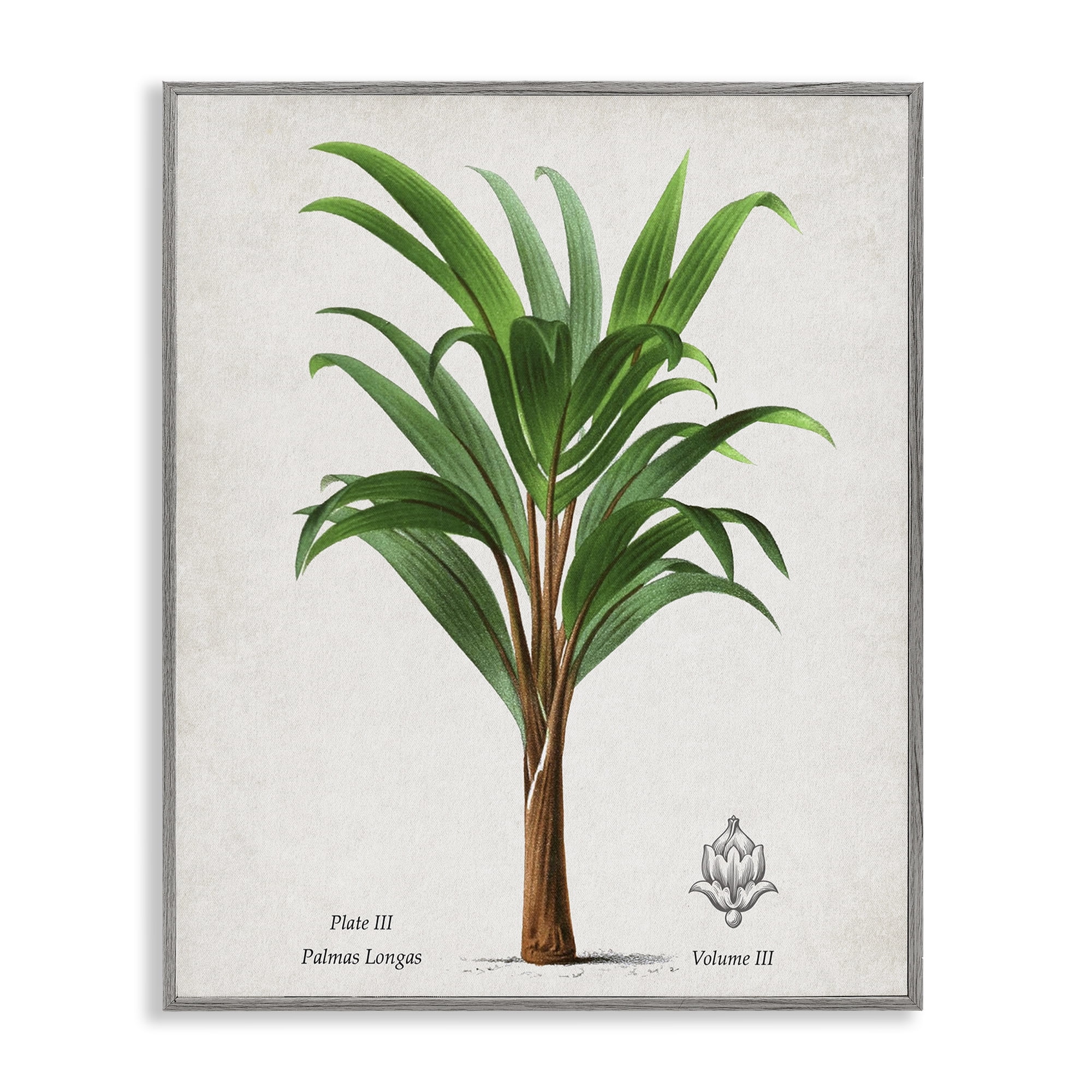 Stupell Industries Palmas Longas Palm Tree Gray Framed Giclee Art, design by Val Rhodes