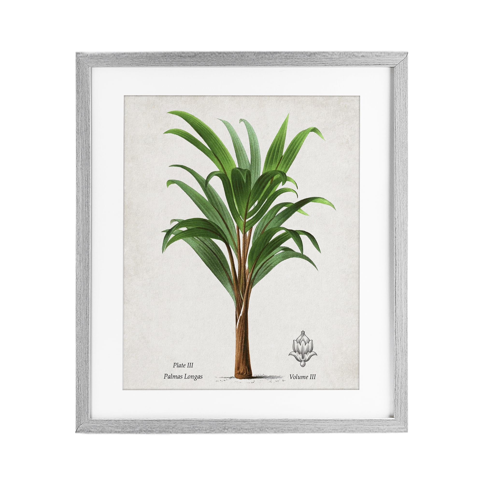 Stupell Industries Palmas Longas Palm Tree Gray Framed Print Under Glass, design by Val Rhodes