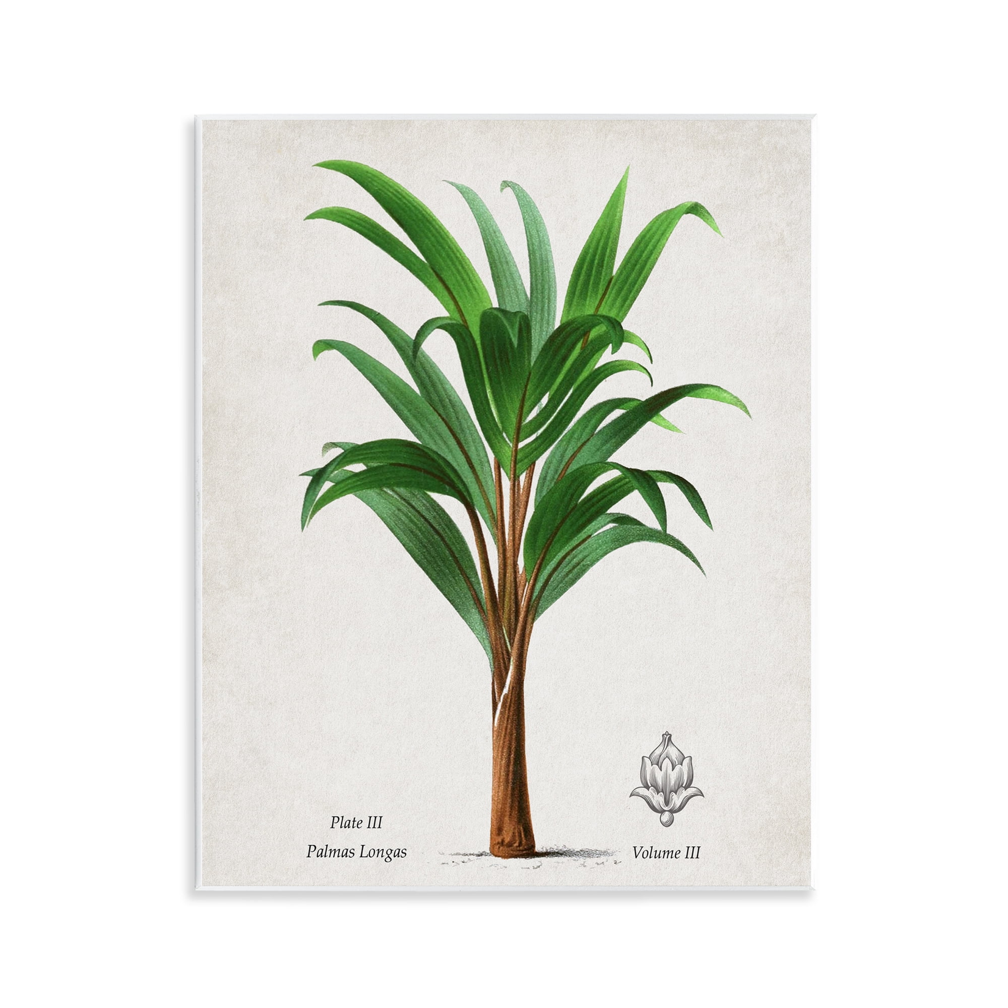 Stupell Industries Palmas Longas Palm Tree Wall Plaque Art, design by Val Rhodes