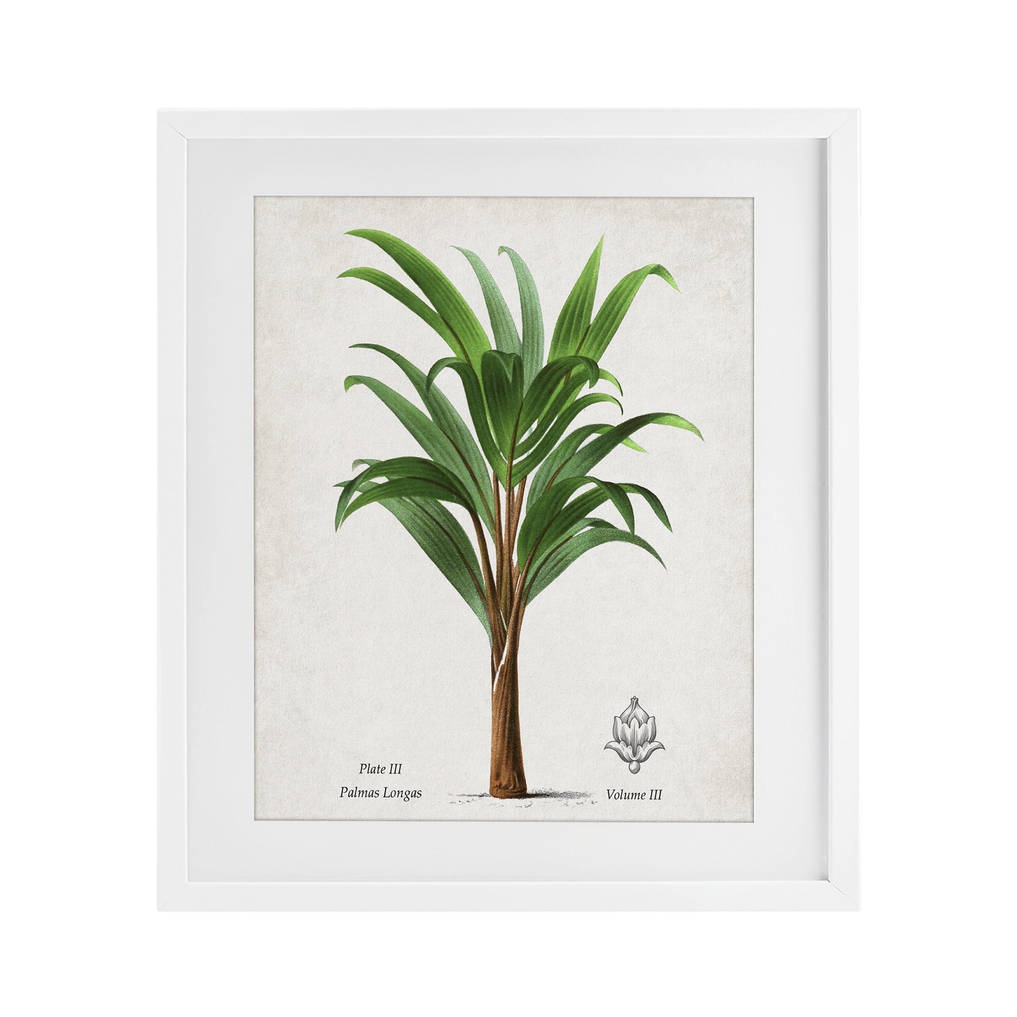 Stupell Industries Palmas Longas Palm Tree White Framed Print Under Glass, design by Val Rhodes