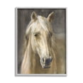 thumbnail image 1 of Stupell Industries Palomino Horse Portrait Animals & Insects Painting Gray Framed Art Print Wall Art, 16 x 20, 1 of 8