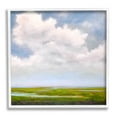 thumbnail image 1 of Stupell Industries Panoramic Meadow Horizon Clouds Painting White Framed Art Print Wall Art, Design by Catherine Andersen, 1 of 8