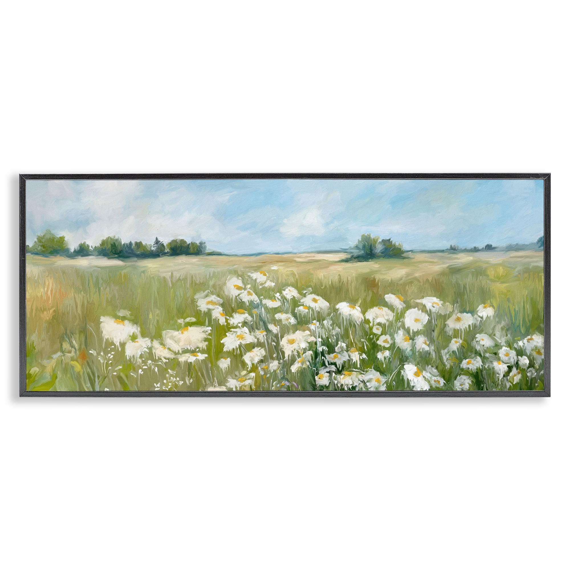 Stupell Industries Panoramic Sunlit Cliff Landscape Photography Black Framed Art Print Wall Art, 30 x 13