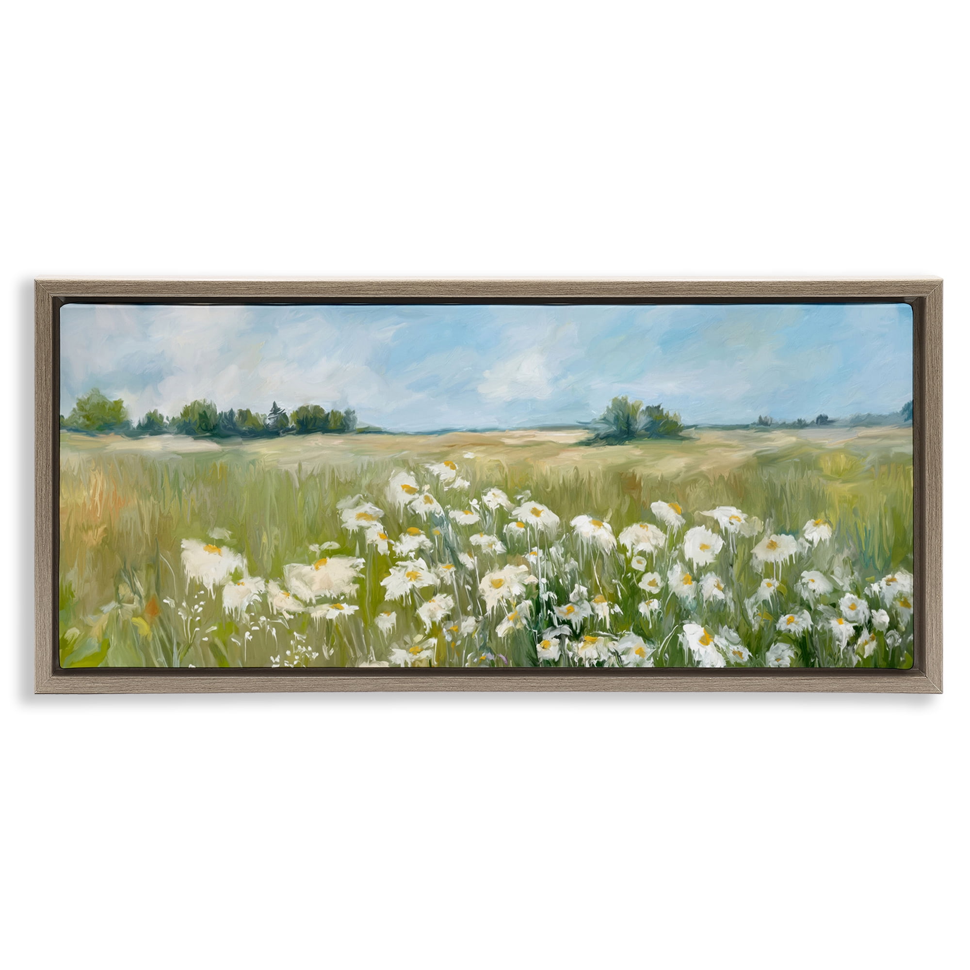 Stupell Industries Panoramic Sunlit Cliff Landscape Photography Brown Floater Framed Art Print Wall Art, 31 x 14