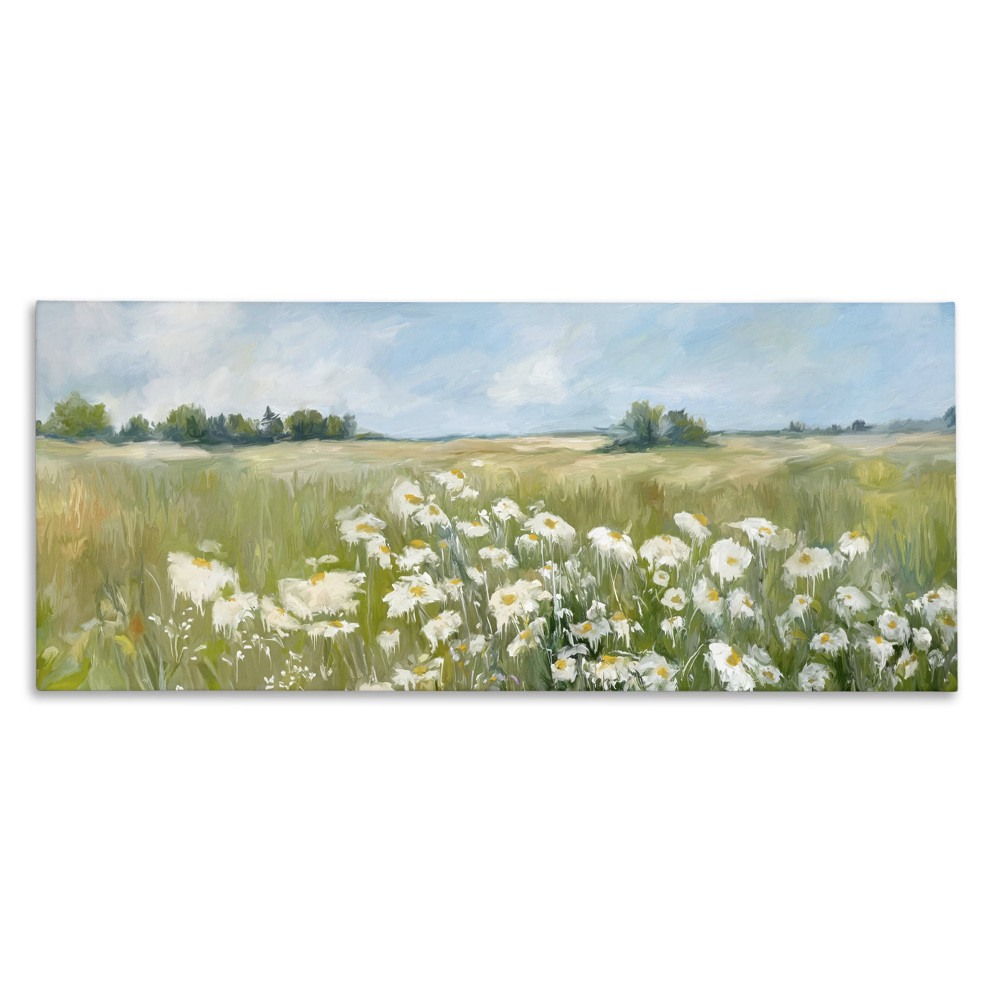 Panoramic Sunlit Field Landscape Canvas Art Print, 24 x 10