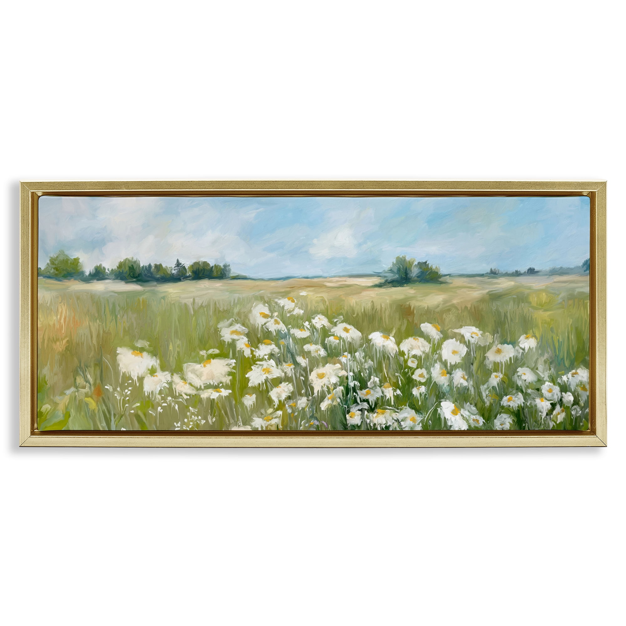 Stupell Industries Panoramic Sunlit Cliff Landscape Photography Gold Floater Framed Art Print Wall Art, 31 x 14