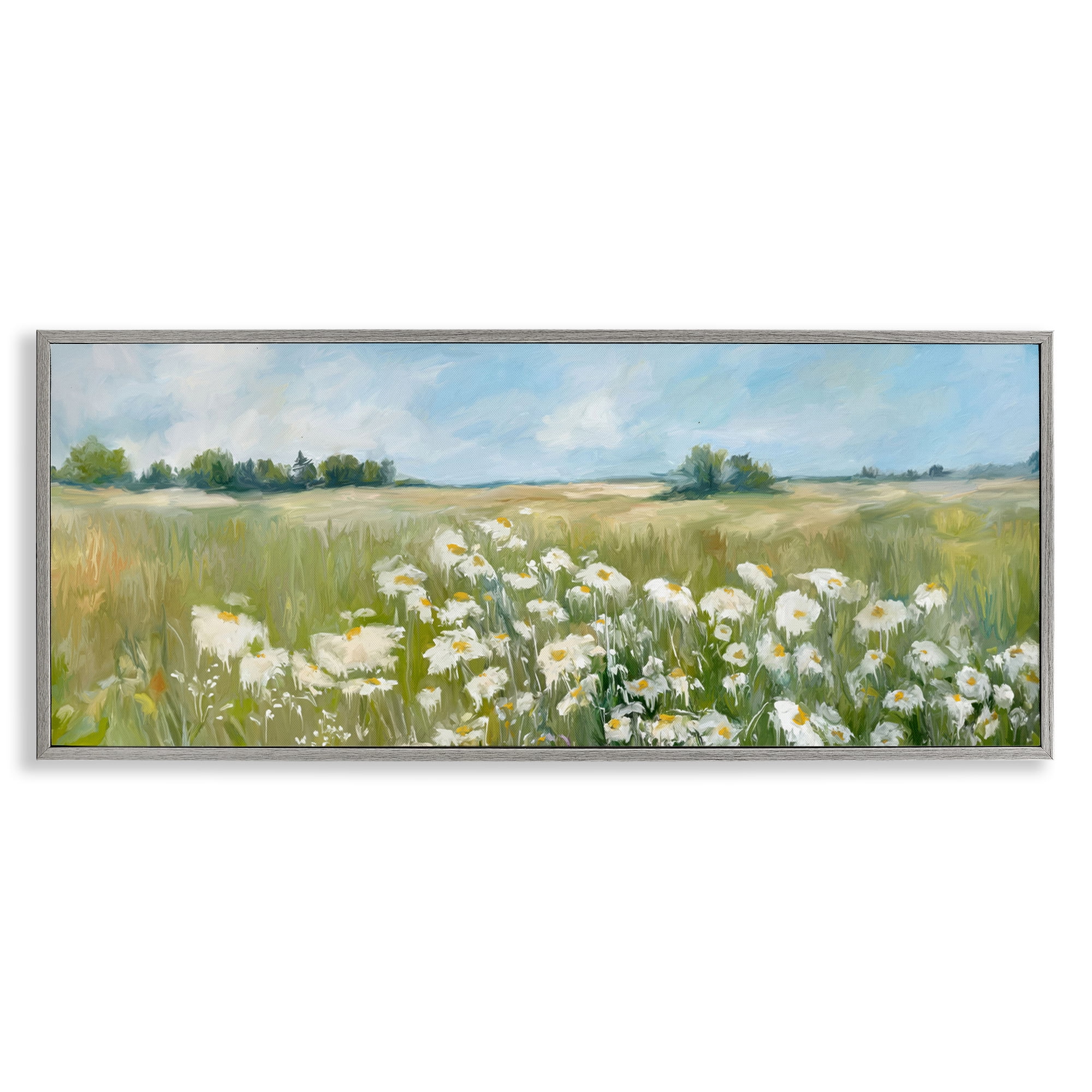 Stupell Industries Panoramic Sunlit Cliff Landscape Photography Gray Framed Art Print Wall Art, 24 x 10