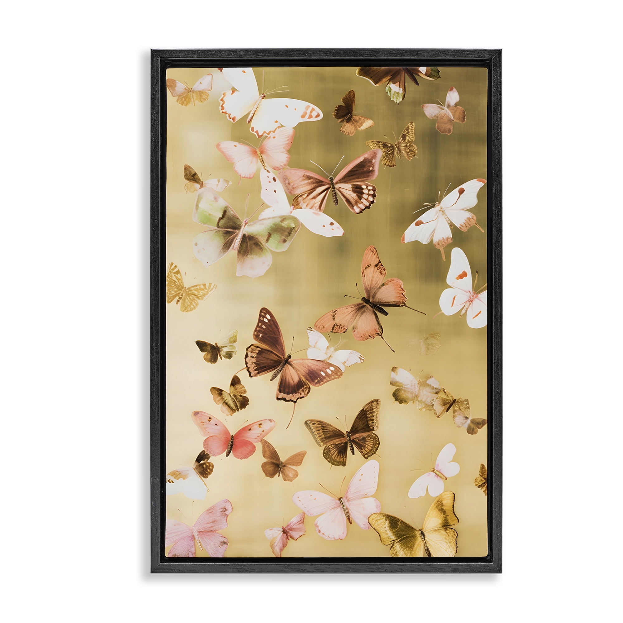 Stupell Industries Papillon Butterfly Array Animals & Insects Painting Black Floater Framed Canvas Art Print Wall Art, 17 x 25