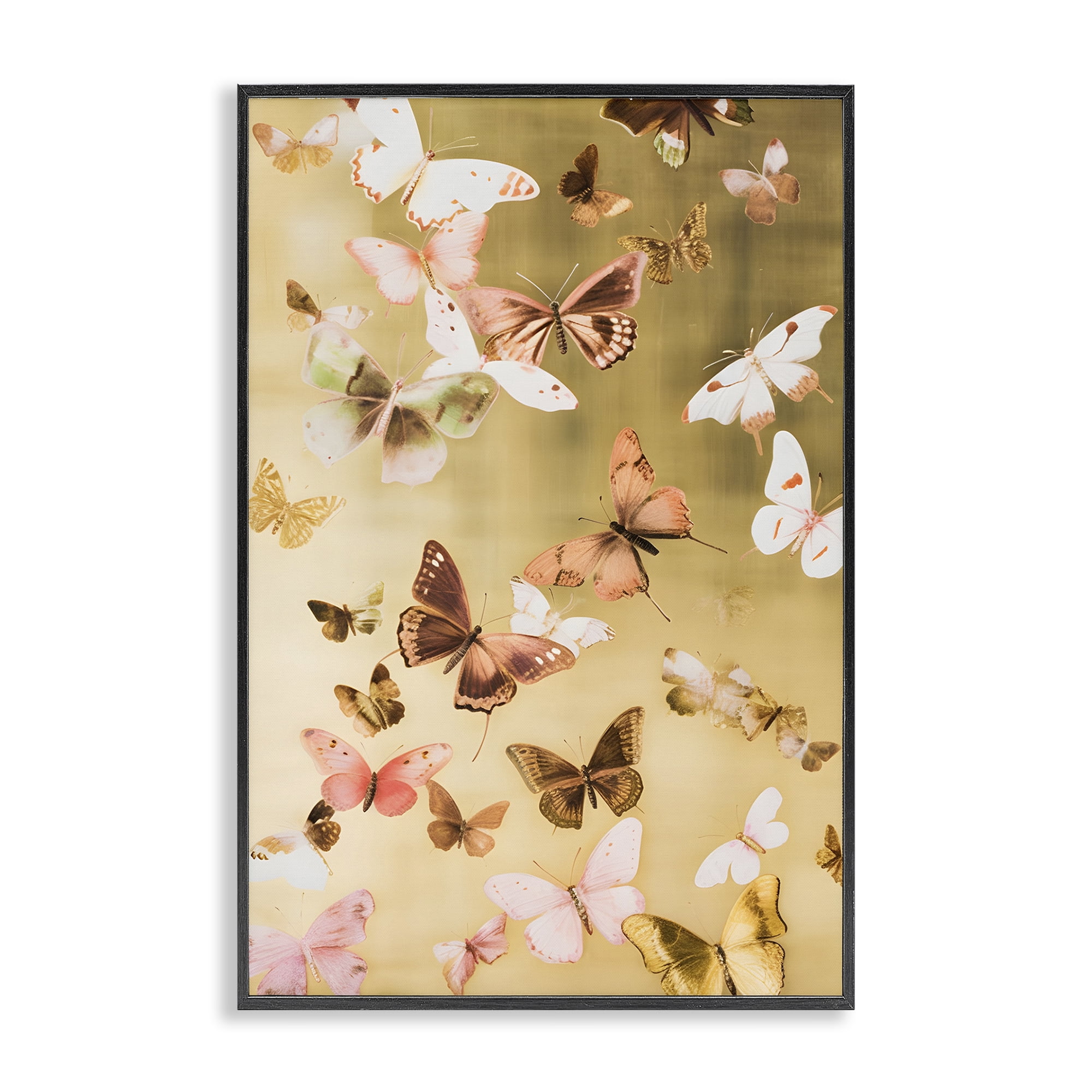 Stupell Industries Papillon Butterfly Array Animals & Insects Painting Black Framed Art Print Wall Art, 20 x 30
