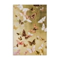 thumbnail image 1 of Stupell Industries Eclectic Papillon Butterfly Array Canvas Art, 30 x 45, by Petals Prints Design, 1 of 8