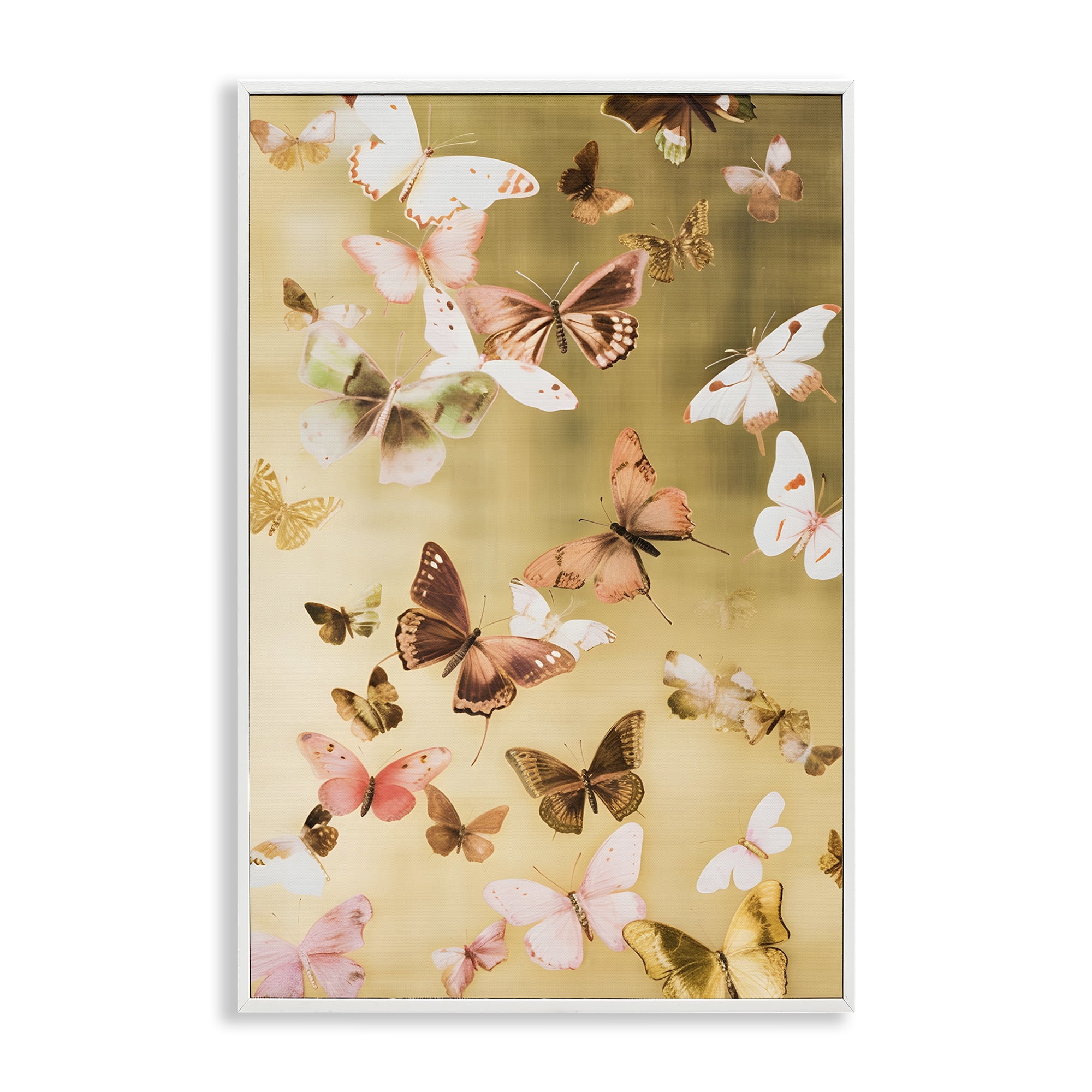 Stupell Industries Papillon Butterfly Array Animals & Insects Painting White Framed Art Print Wall Art, 16 x 24