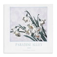 thumbnail image 1 of Stupell Industries Traditional Paradise Alley White Spring Blooms Canvas Art, 17 x 17, by Jadei Graphics, 1 of 8