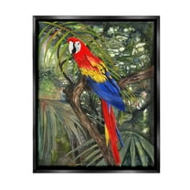 Stupell Industries Parrot Among Branches Animals & Insects Painting Black Floater Framed Canvas Art Print Wall Art, 17 x 21