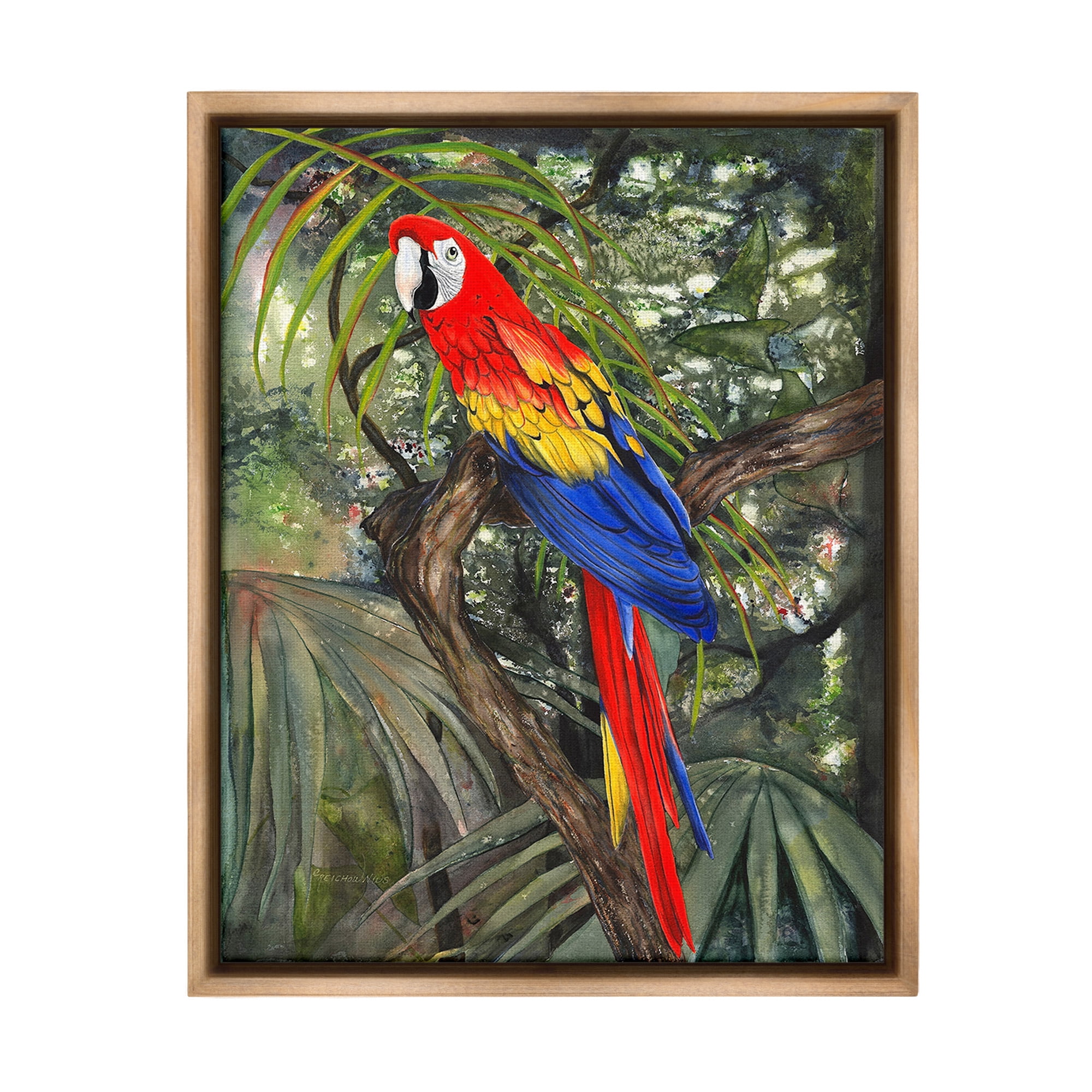 Stupell Industries Parrot Among Branches Animals & Insects Painting Brown Floater Framed Canvas Art Print Wall Art, 17 x 21