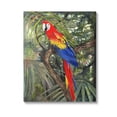 thumbnail image 1 of Stupell Industries Parrot Among Branches Animals & Insects Painting Gallery Wrapped Canvas Art Print Wall Art, 30 x 40, 1 of 8