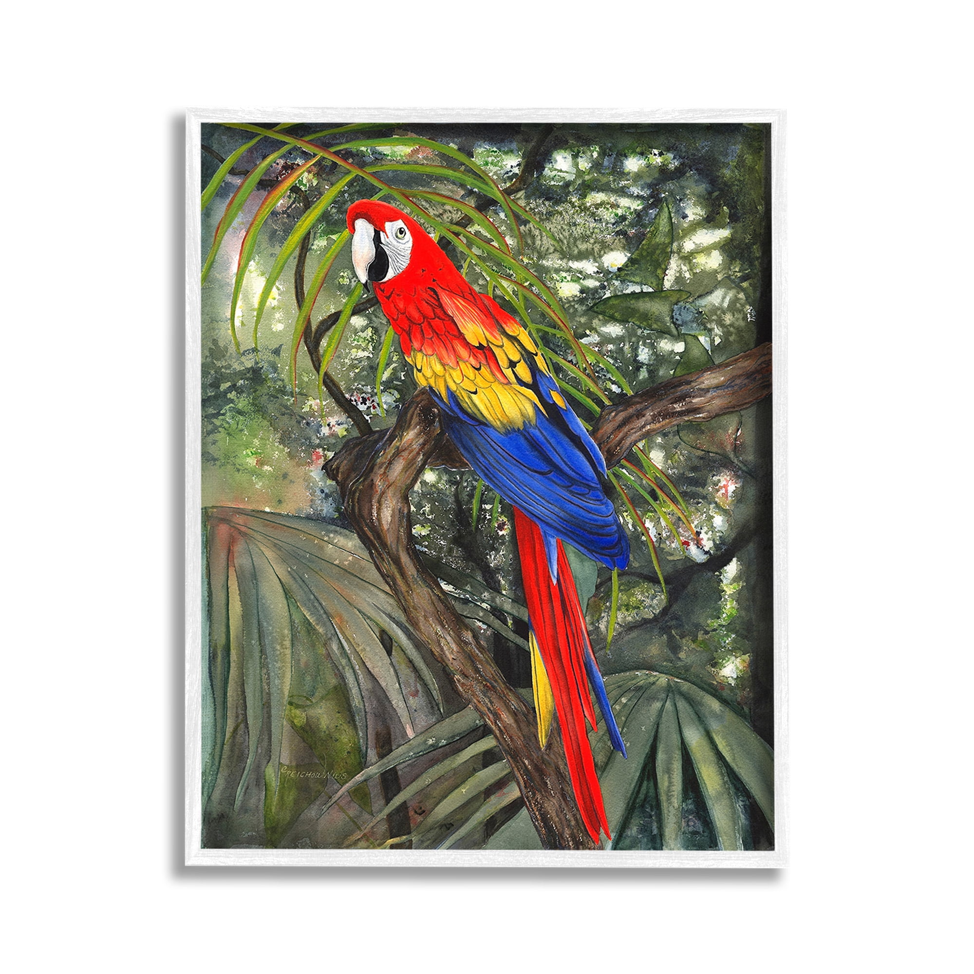 Vibrant Parrot on Branch Canvas Print with White Frame