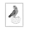 thumbnail image 1 of Stupell Industries Parrot & Toilet Paper Bathroom Animals & Insects Painting White Framed Art Print Wall Art, 1 of 5