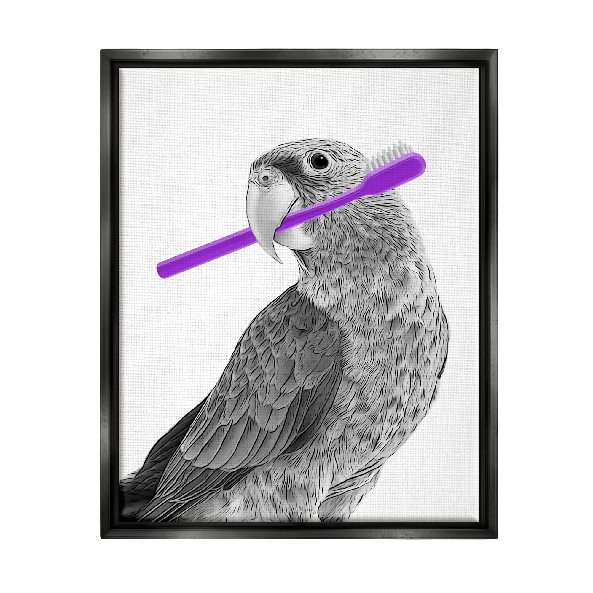 Stupell Industries Parrot With Toothbrush Funny Bird Animals & Insects Painting Black Floater Framed Art Print Wall Art