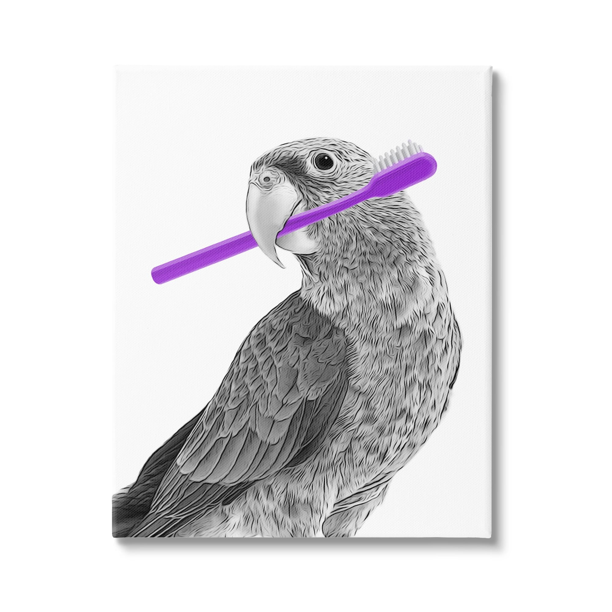 Gray Parrot with Purple Toothbrush Canvas Wall Art, 16 x 20