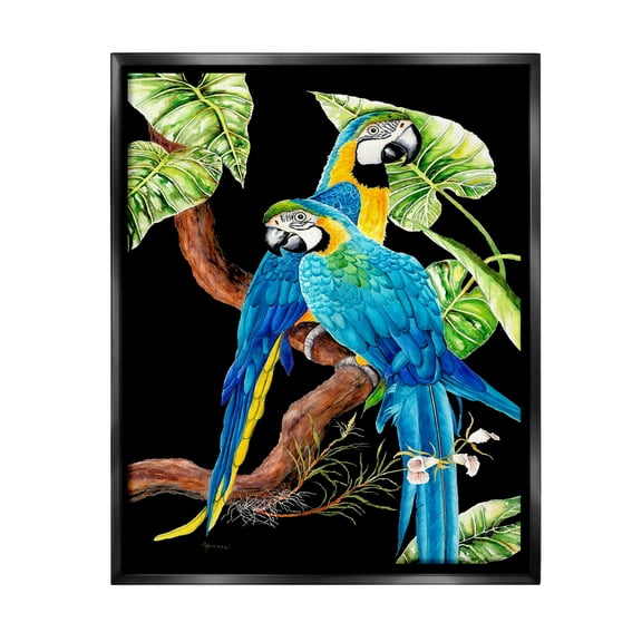 Stupell Industries Parrots Perched on Branch Animals & Insects Painting Black Floater Framed Canvas Art Print Wall Art, 17 x 21