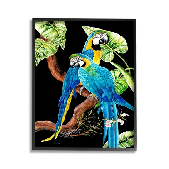 Stupell Industries Parrots Perched on Branch Animals & Insects Painting Black Framed Art Print Wall Art, 11 x 14